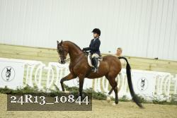 24R13_10844 thumbnail