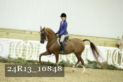 24R13_10848 thumbnail