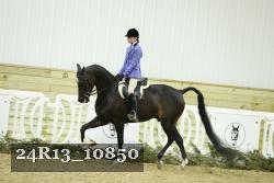 24R13_10850 thumbnail
