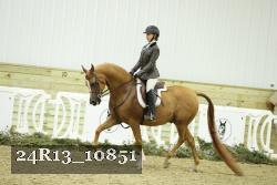 24R13_10851 thumbnail