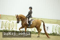 24R13_10852 thumbnail