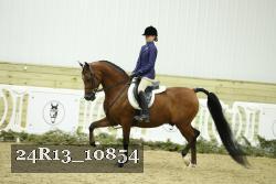 24R13_10854 thumbnail