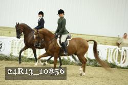 24R13_10856 thumbnail