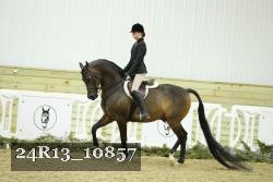 24R13_10857 thumbnail