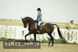 24R13_10859 thumbnail