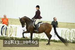 24R13_10865 thumbnail