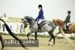 24R13_10867 thumbnail