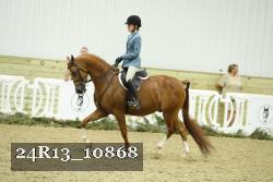 24R13_10868 thumbnail