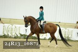 24R13_10871 thumbnail