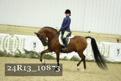24R13_10873 thumbnail