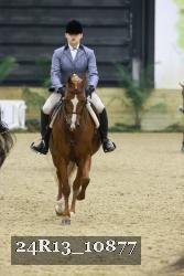 24R13_10877 thumbnail