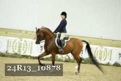 24R13_10878 thumbnail