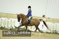 24R13_10880 thumbnail