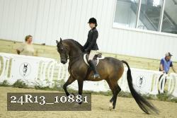 24R13_10881 thumbnail
