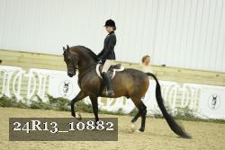 24R13_10882 thumbnail
