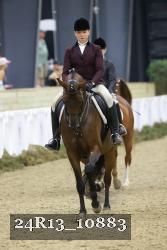24R13_10883 thumbnail