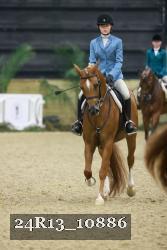 24R13_10886 thumbnail