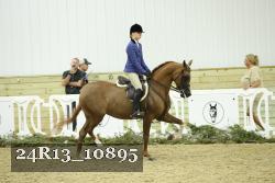 24R13_10895 thumbnail