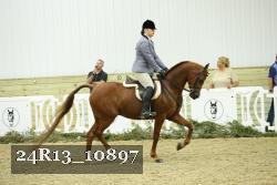 24R13_10897 thumbnail