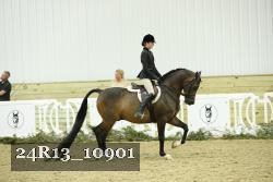 24R13_10901 thumbnail