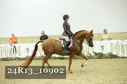 24R13_10902 thumbnail