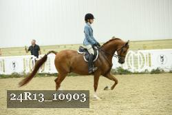 24R13_10903 thumbnail