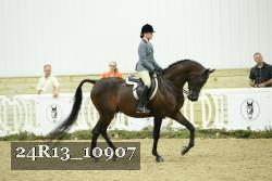 24R13_10907 thumbnail