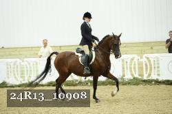 24R13_10908 thumbnail
