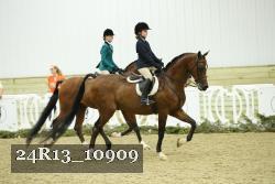 24R13_10909 thumbnail