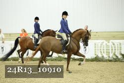 24R13_10910 thumbnail