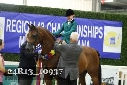 24R13_10937 thumbnail