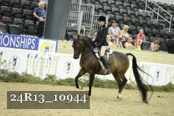 24R13_10944 thumbnail