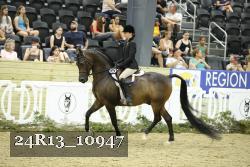 24R13_10947 thumbnail
