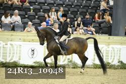24R13_10948 thumbnail
