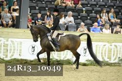 24R13_10949 thumbnail