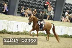 24R13_10950 thumbnail