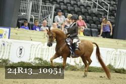 24R13_10951 thumbnail