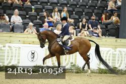 24R13_10958 thumbnail