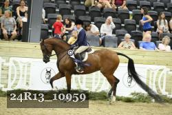 24R13_10959 thumbnail