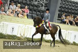 24R13_10960 thumbnail