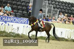 24R13_10962 thumbnail
