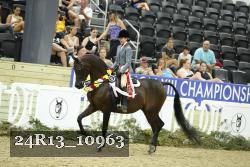 24R13_10963 thumbnail