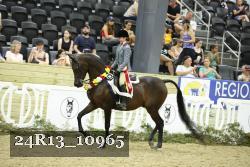 24R13_10965 thumbnail
