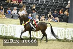24R13_10966 thumbnail