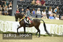 24R13_10967 thumbnail