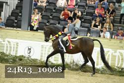 24R13_10968 thumbnail