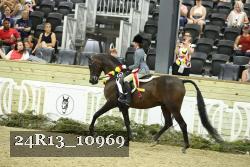 24R13_10969 thumbnail