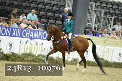 24R13_10976 thumbnail