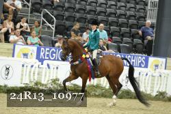 24R13_10977 thumbnail