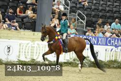 24R13_10978 thumbnail